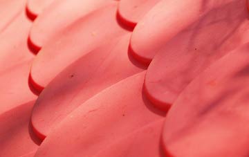 Guyhirn plastic roof costs