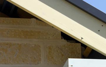 soffit repair Guyhirn